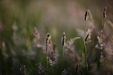 《拉力赛艺术》主机版预告 8月18日登陆XSX＆S＆XB1＆NS